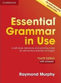 Essential Grammar in Use 4th Edition 